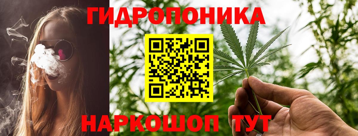 МАРИХУАНА OG Kush Строитель